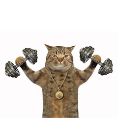 Workoutcat: Workout Tracker